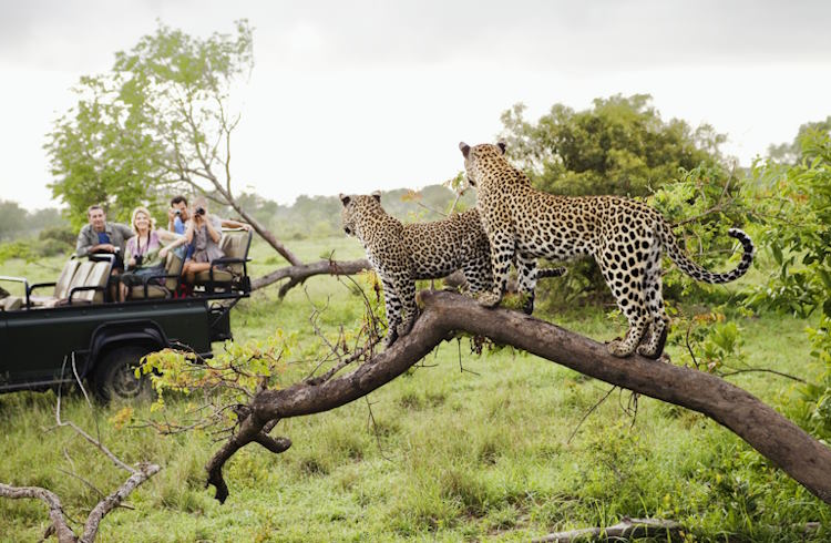 Amboseli National Park - Tigoni hotel Kentmere safari destination