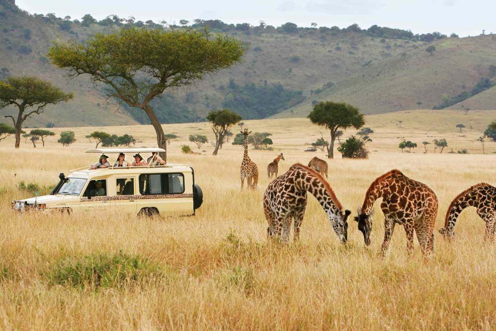 Maasai Mara National Reserve - Tigoni hotel Kentmere safari destination