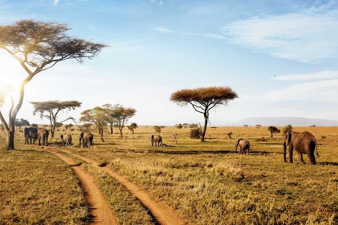 Nanyuki Region - Tigoni hotel Kentmere safari destination